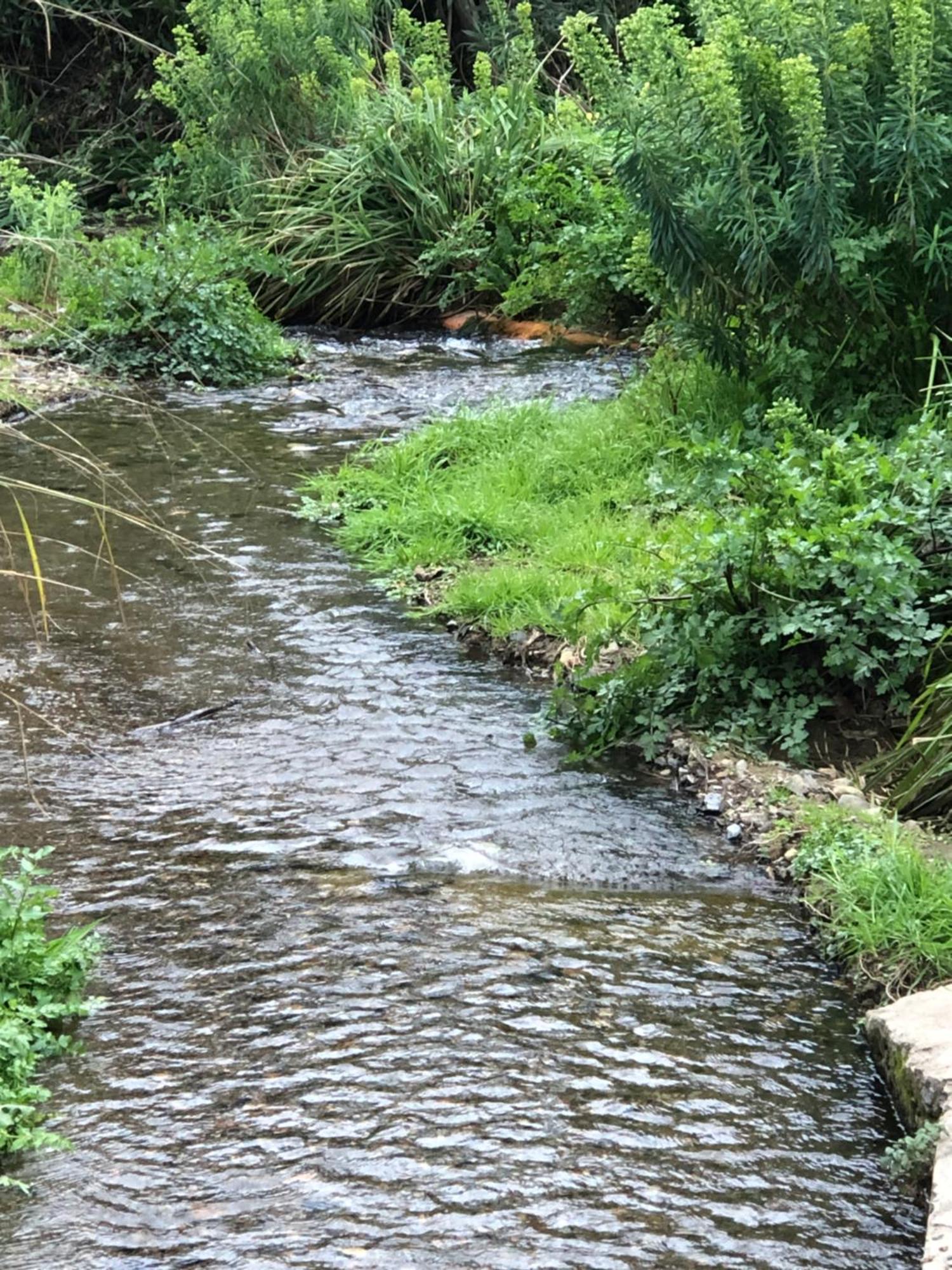 Alojamiento Rural El Castano Fuenteheridos Εξωτερικό φωτογραφία