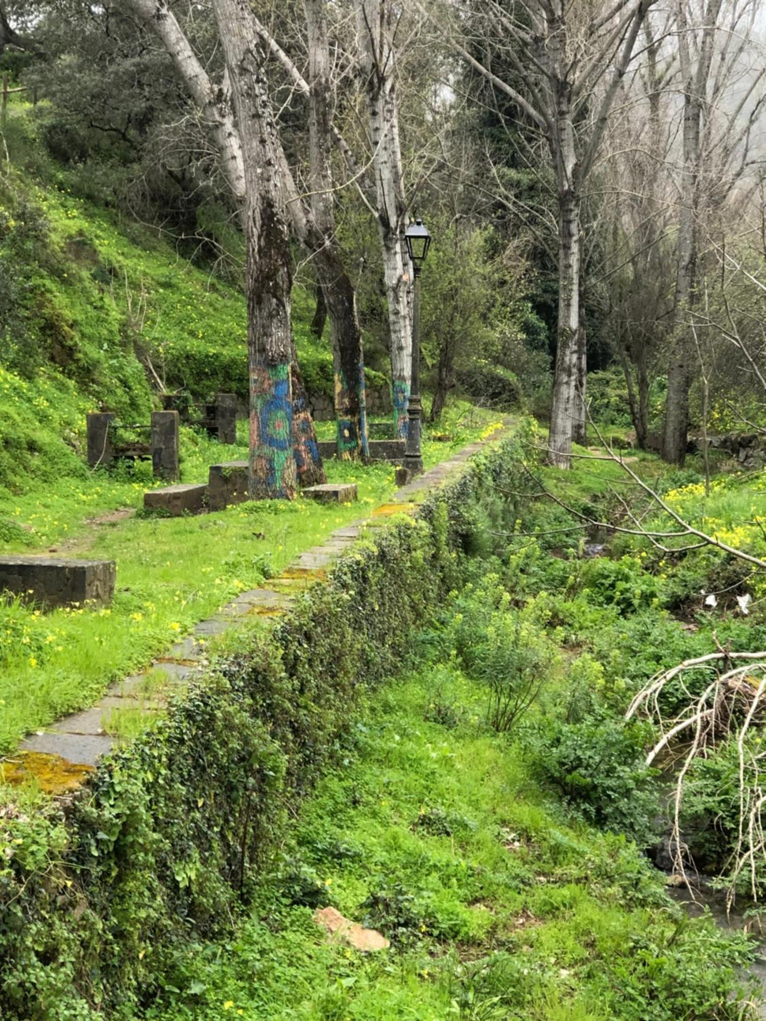 Alojamiento Rural El Castano Fuenteheridos Εξωτερικό φωτογραφία