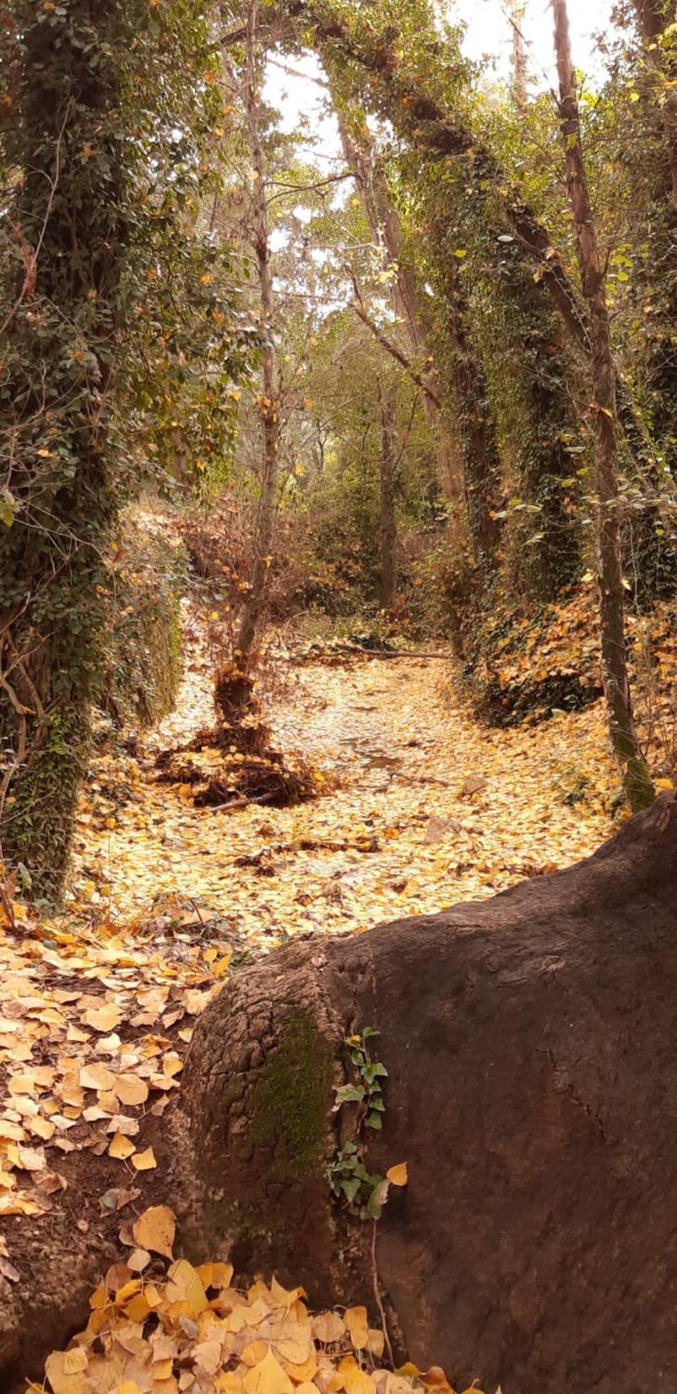 Alojamiento Rural El Castano Fuenteheridos Εξωτερικό φωτογραφία