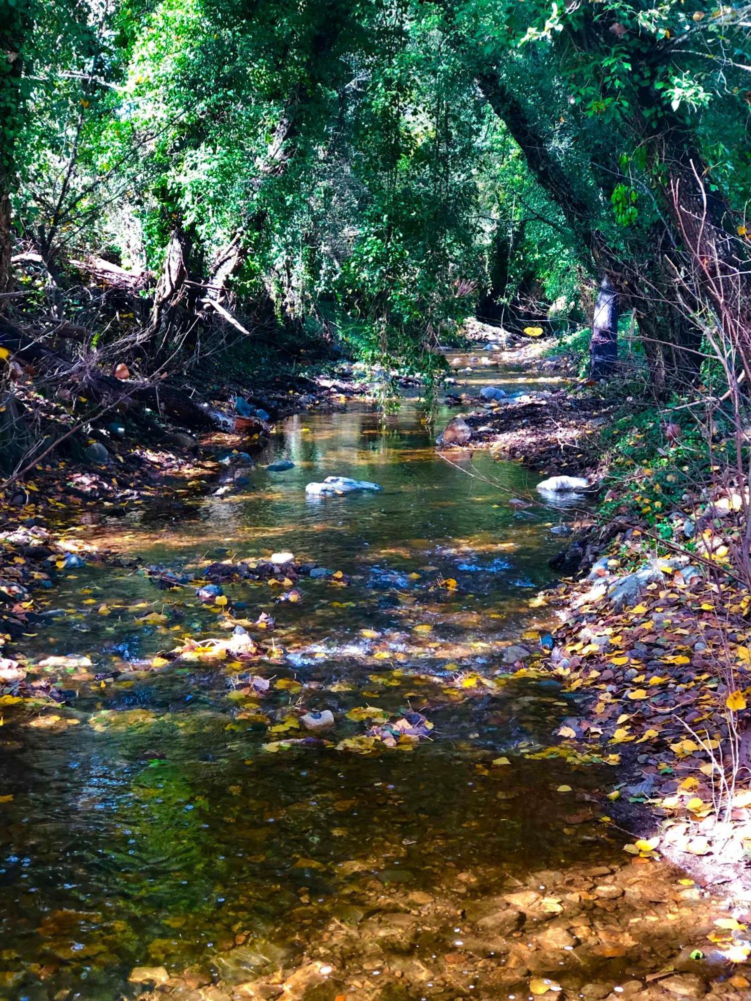 Alojamiento Rural El Castano Fuenteheridos Εξωτερικό φωτογραφία
