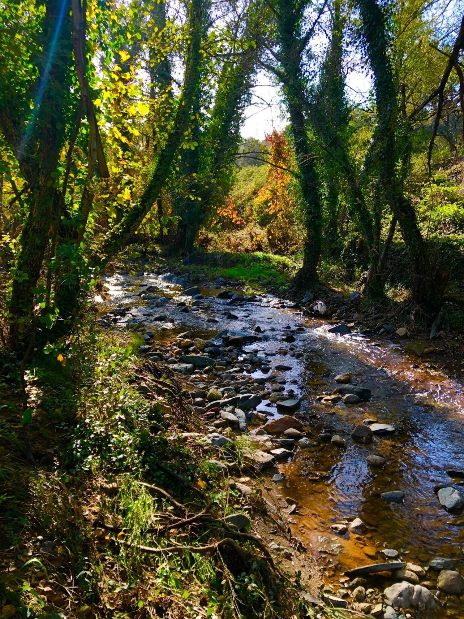 Alojamiento Rural El Castano Fuenteheridos Εξωτερικό φωτογραφία
